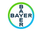 logo-bayer-farmacja-oferta.webp